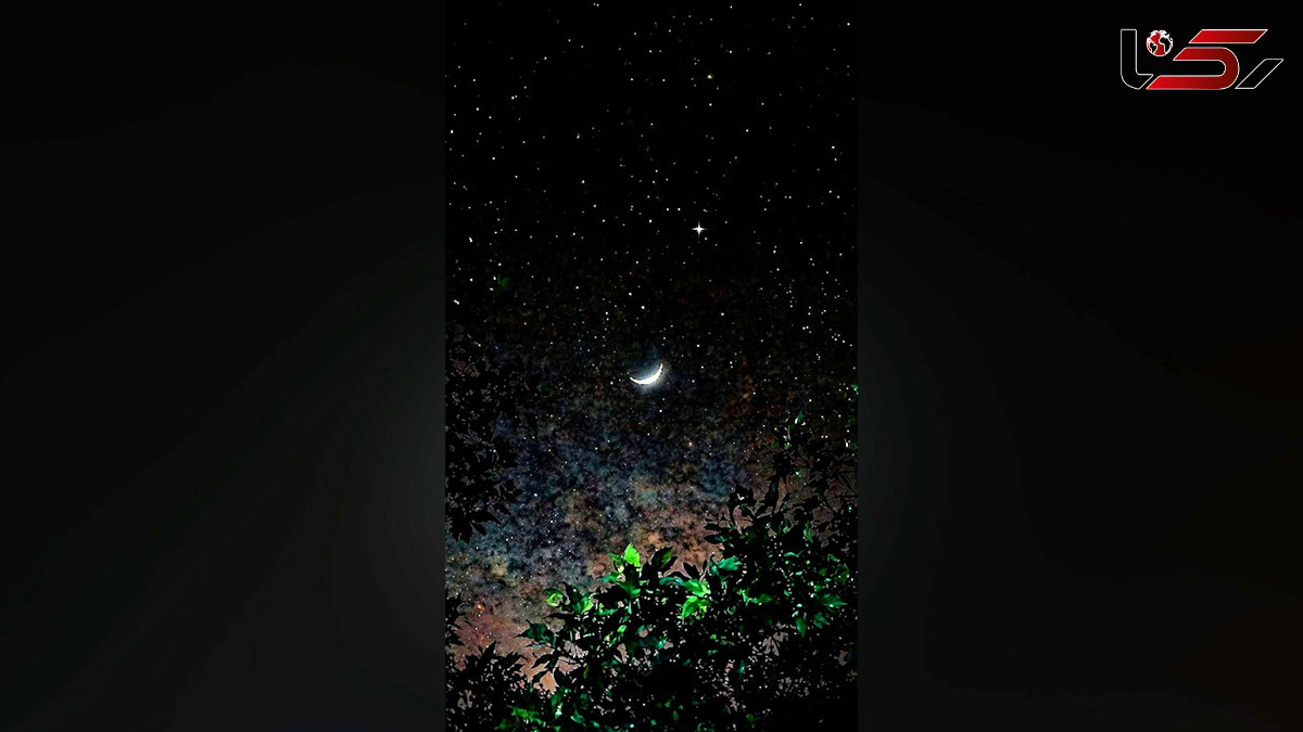 فال روزانه واقعی جمعه 9 خرداد 1404