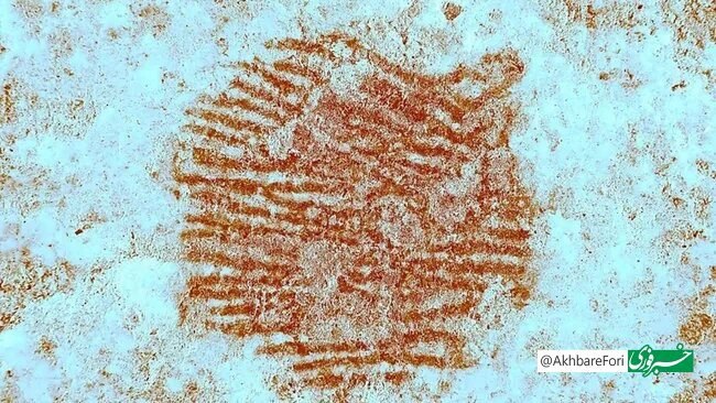 photo_2025-05-29_18-56-20