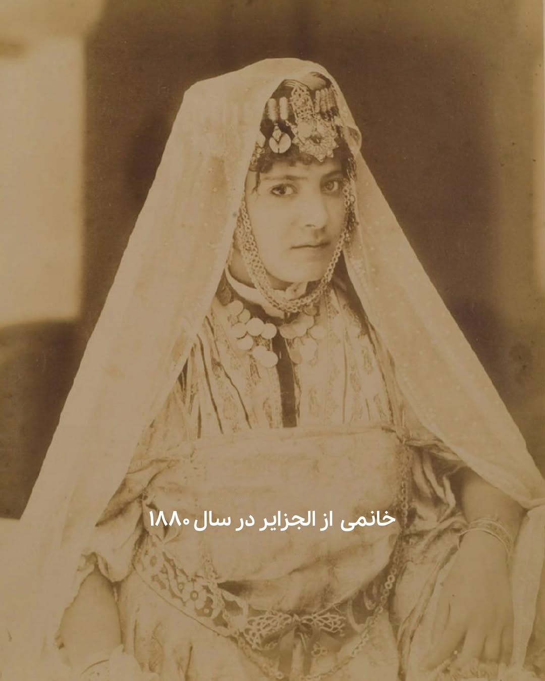 photo_2025-07-08_12-03-54 (5)