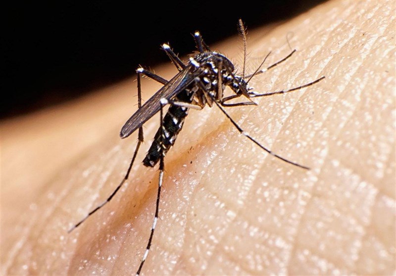 photo_2025-07-09_21-09-44