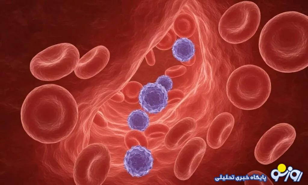 نادرترین گروه خونی جهان کشف شد نادرترین گروه خونی جهان کشف شد