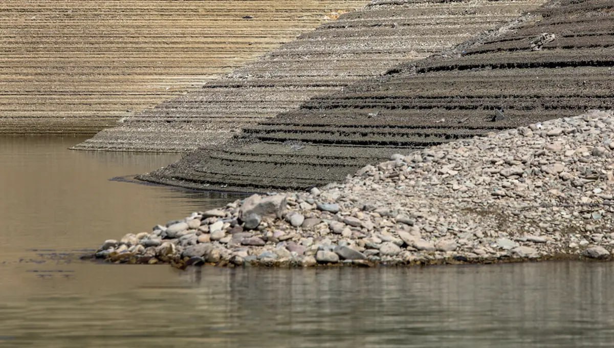 photo_2025-07-16_00-12-22