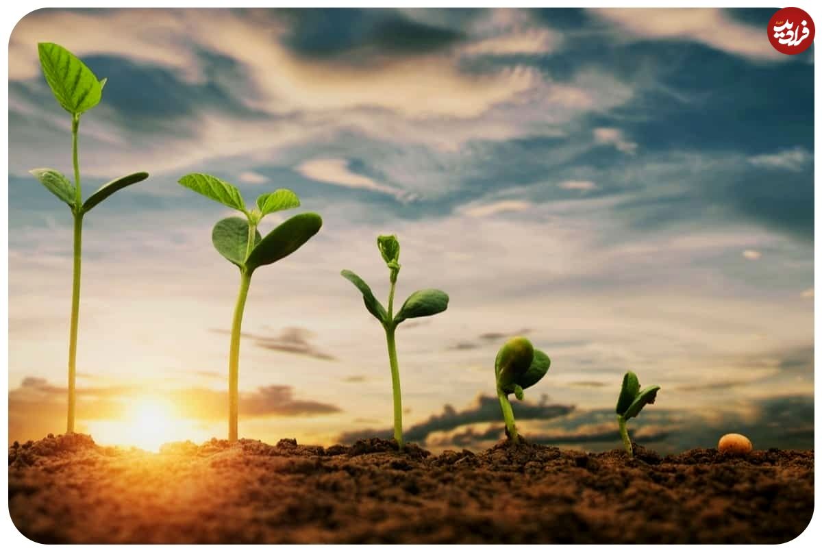 فال حافظ امروز جمعه 6 تیر ماه 1404