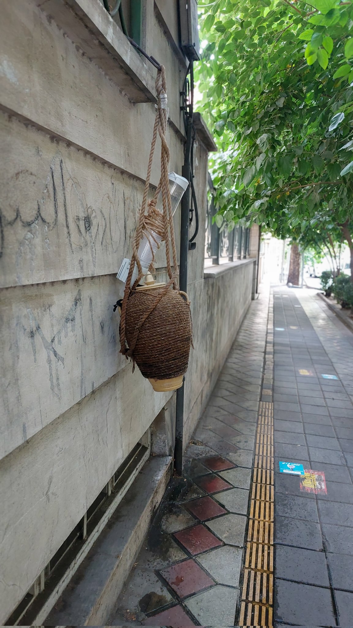 photo_2025-08-01_09-33-09