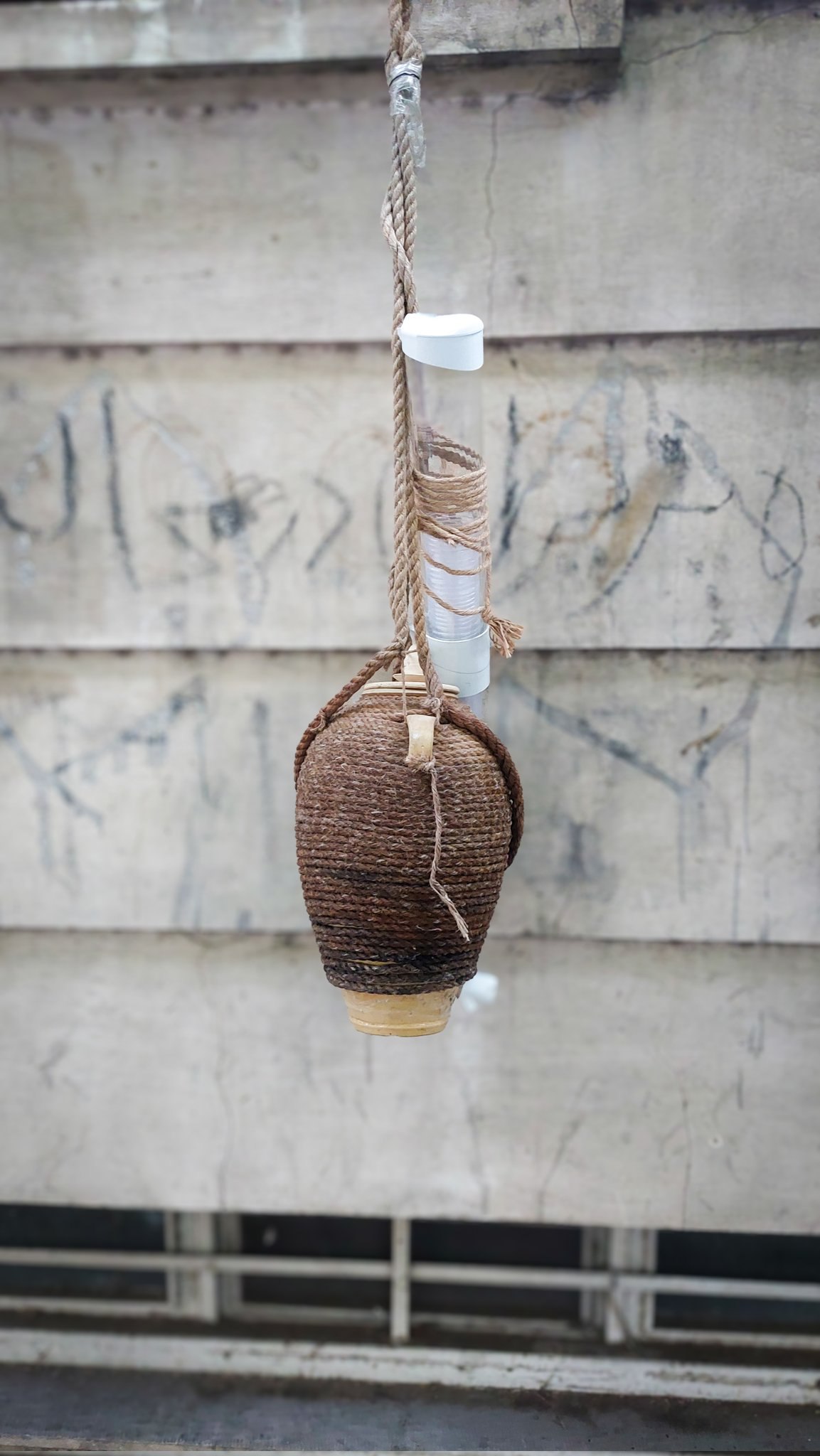 photo_2025-08-01_09-33-06