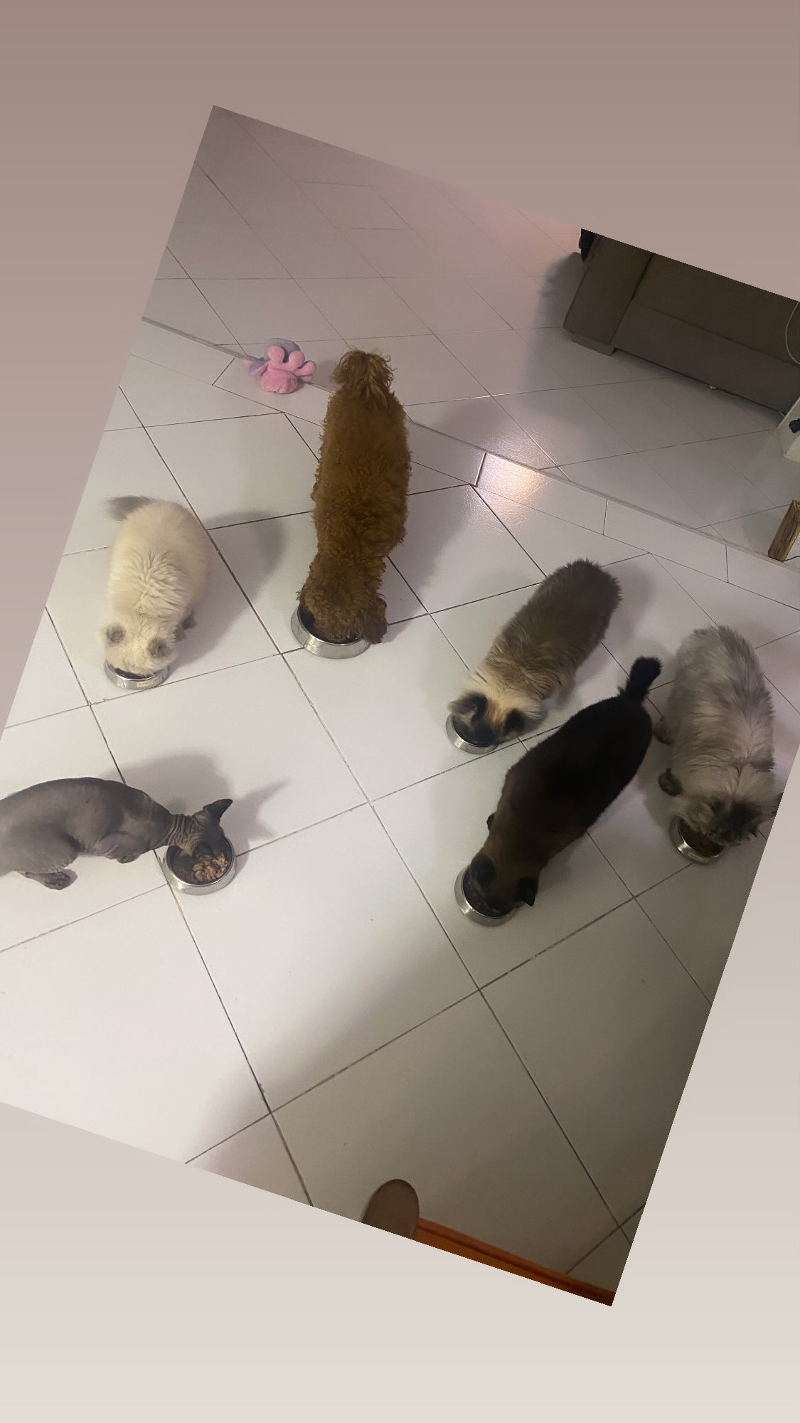 photo_2025-08-07_11-58-11