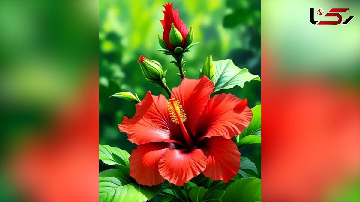 فال روزانه 18 مرداد فال روزانه 18 مرداد