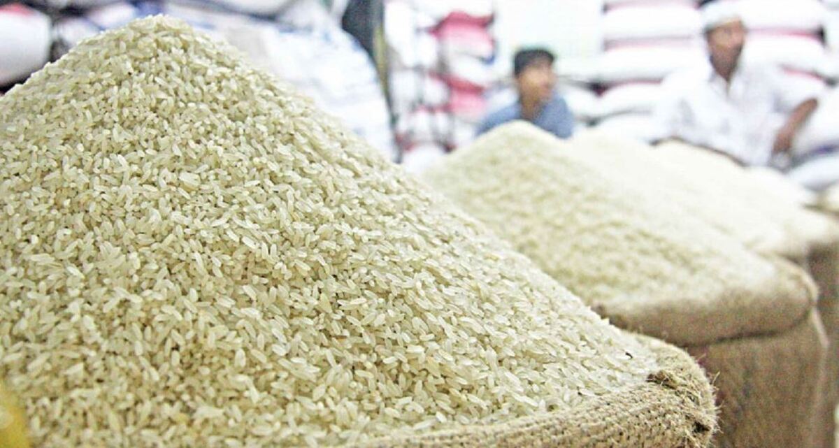 برنج رسما گران شد / قیمت برنج در مرداد ۱۴۰۴