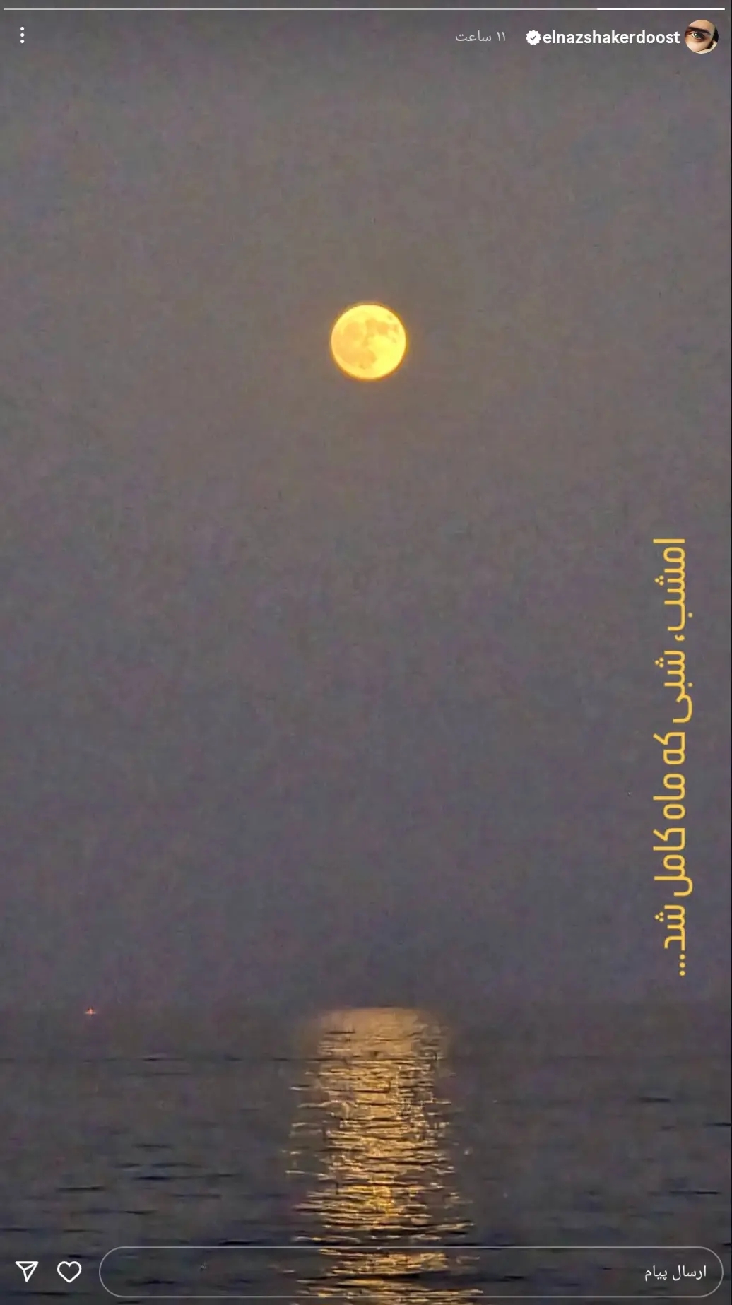 استوری احساسی و معنادار الناز شاکردوست + عکس