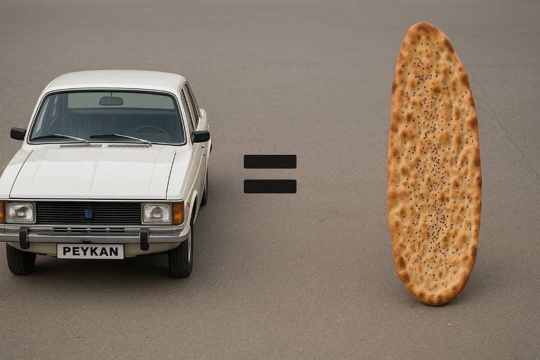 photo_2025-08-10_11-17-11