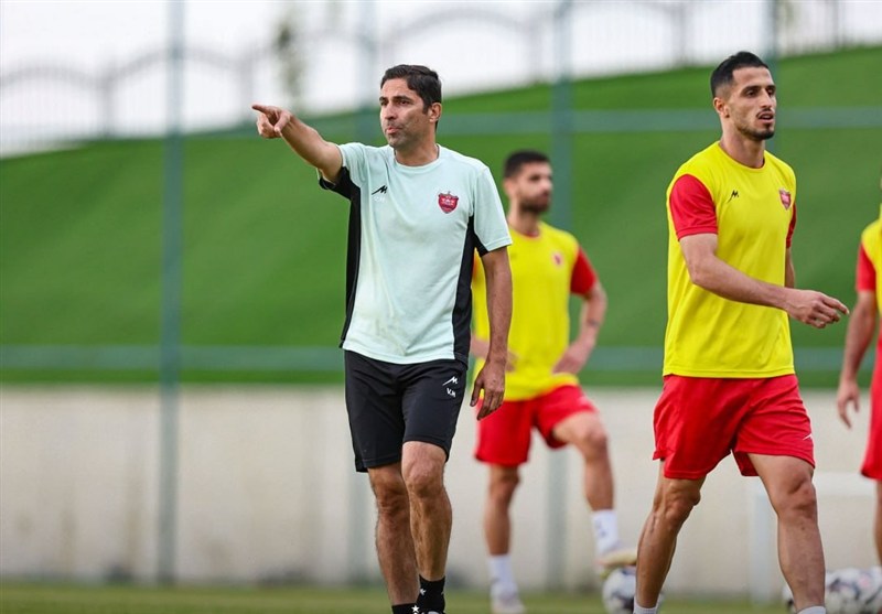 مذاکرات نهایی پرسپولیس با یک مدافع و مهاجم/ هاشمیان: در هر پست رزومه ۵۰ بازیکن را دیده‌ایم