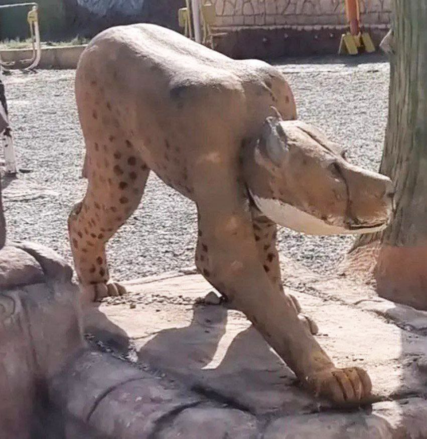 photo_2025-08-13_23-43-22