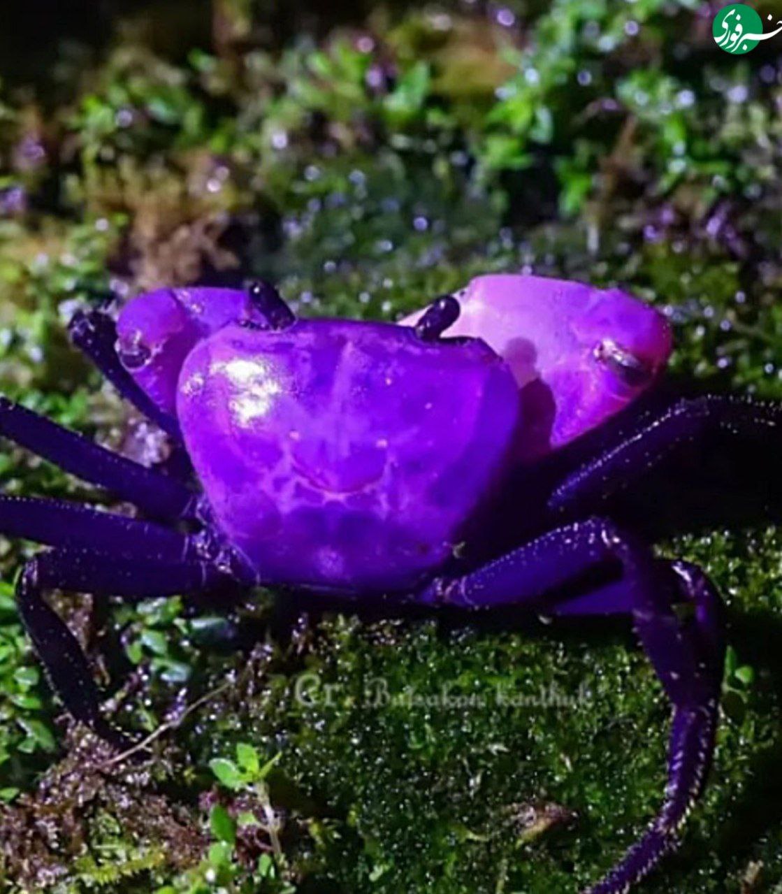 photo_2025-08-14_11-40-35