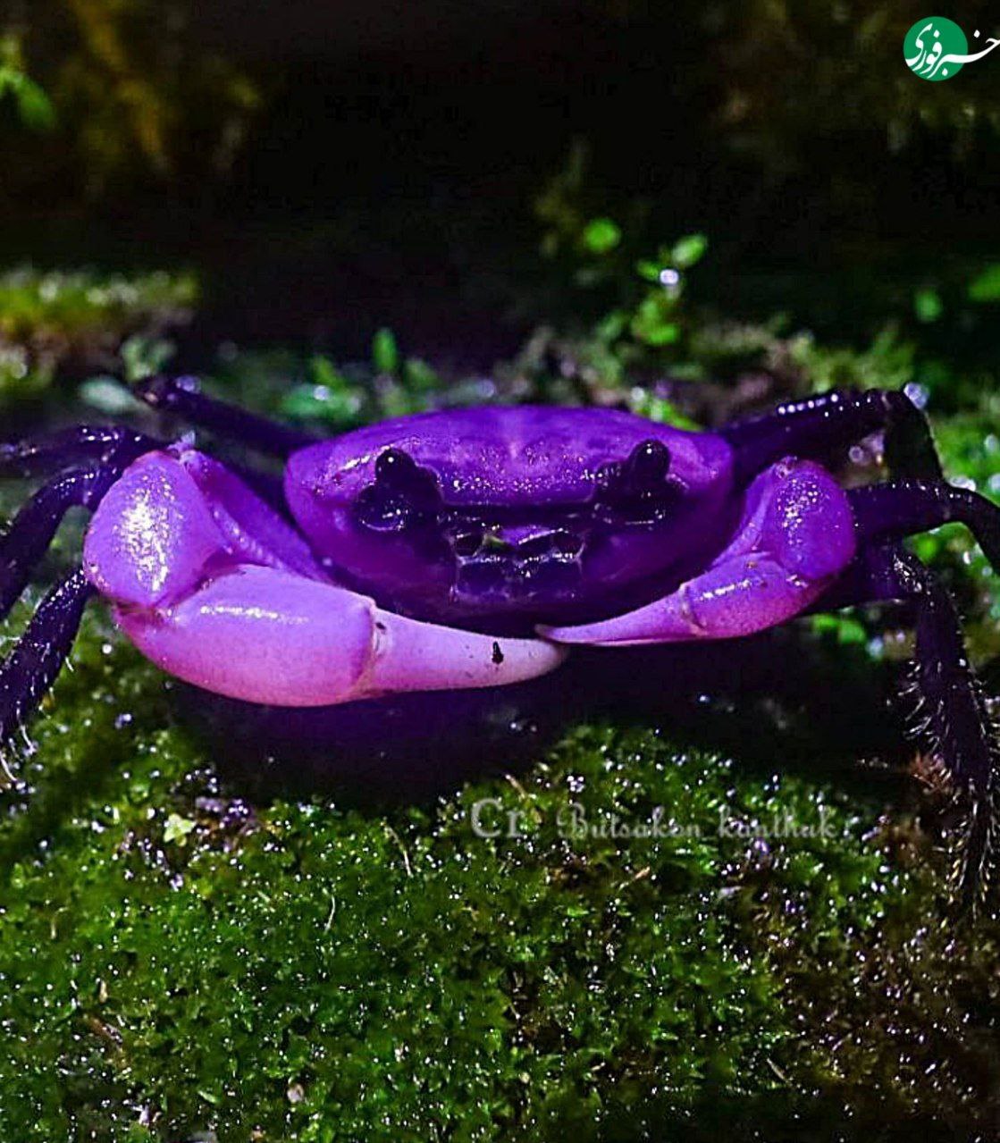 photo_2025-08-14_11-40-32