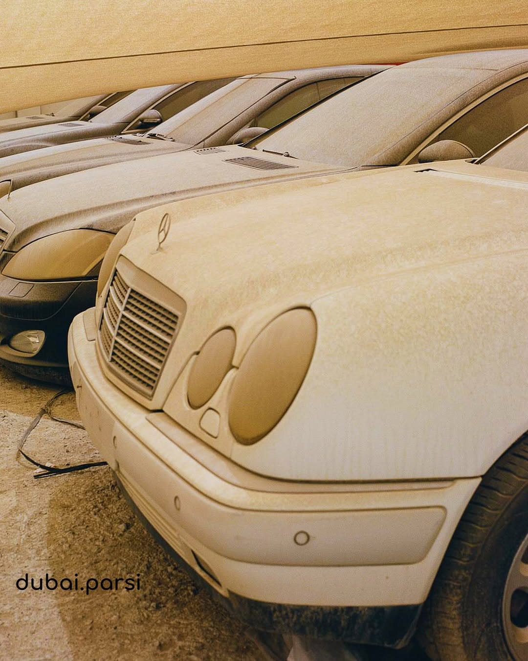 photo_2025-08-14_19-19-57