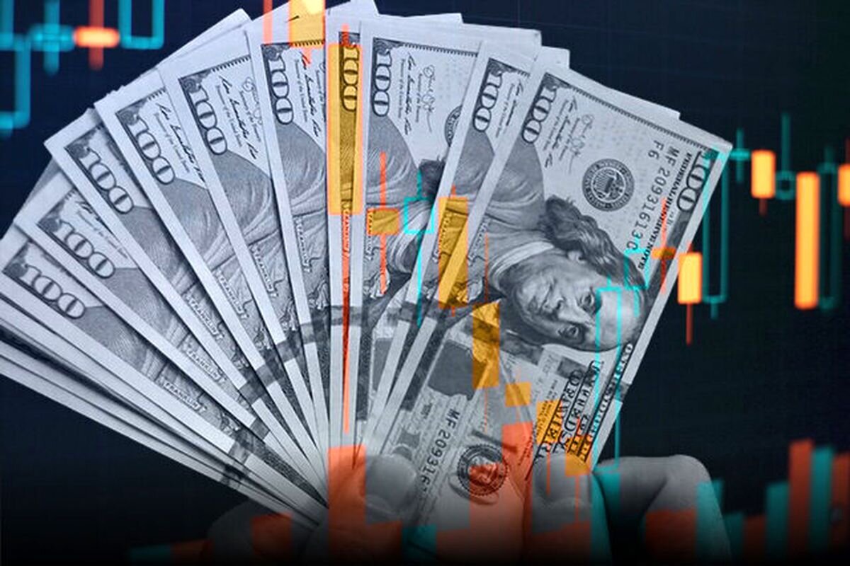 جدیدترین قیمت دلار و یورو امروز جمعه ۲۴ مرداد ۱۴۰۴ اعلام شد/ خریداران شوکه شدند