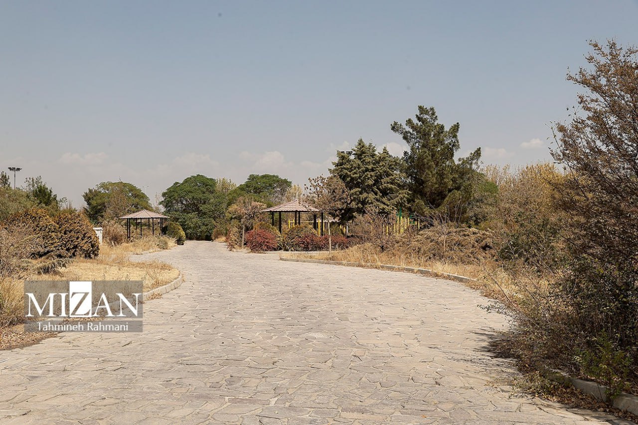 photo_2025-08-16_15-04-28