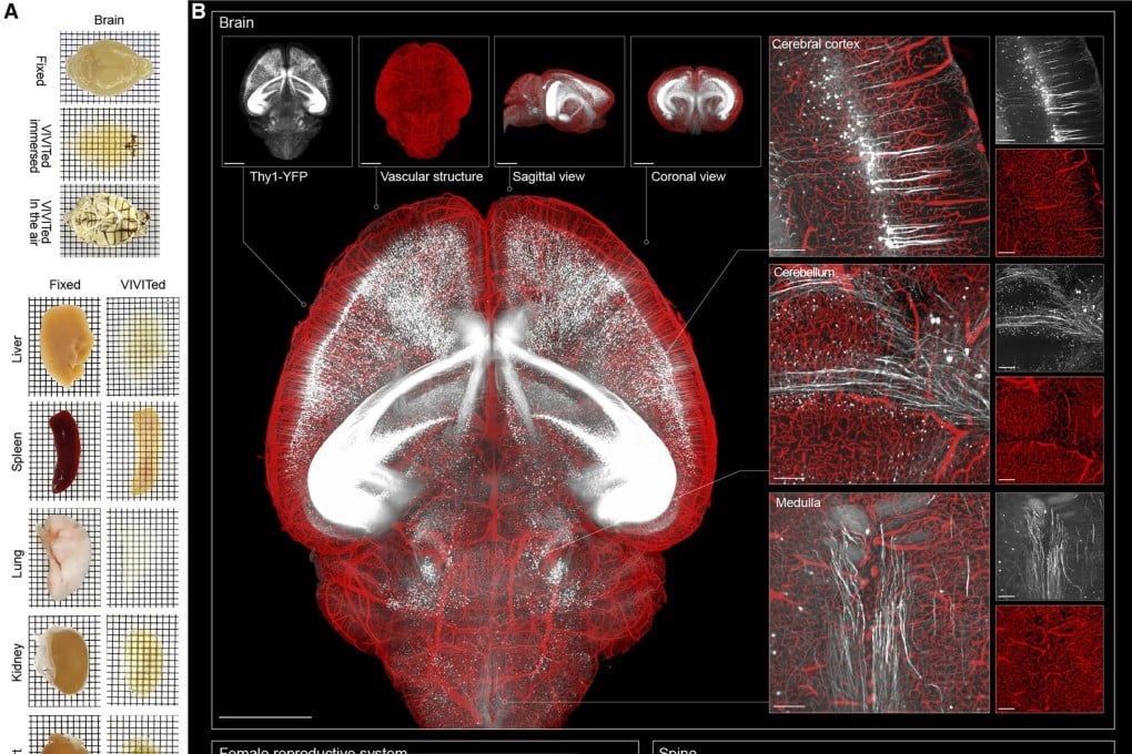 photo_2025-08-19_16-59-12