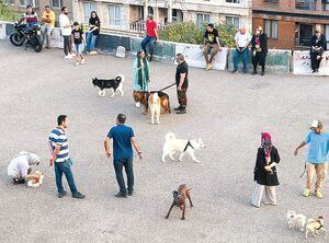 photo_2025-08-19_12-50-52