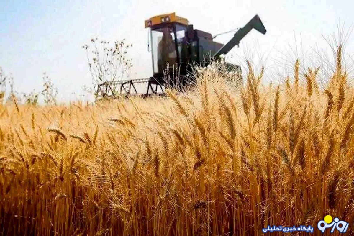 گندم دونه دونه دولت سر بهونه!