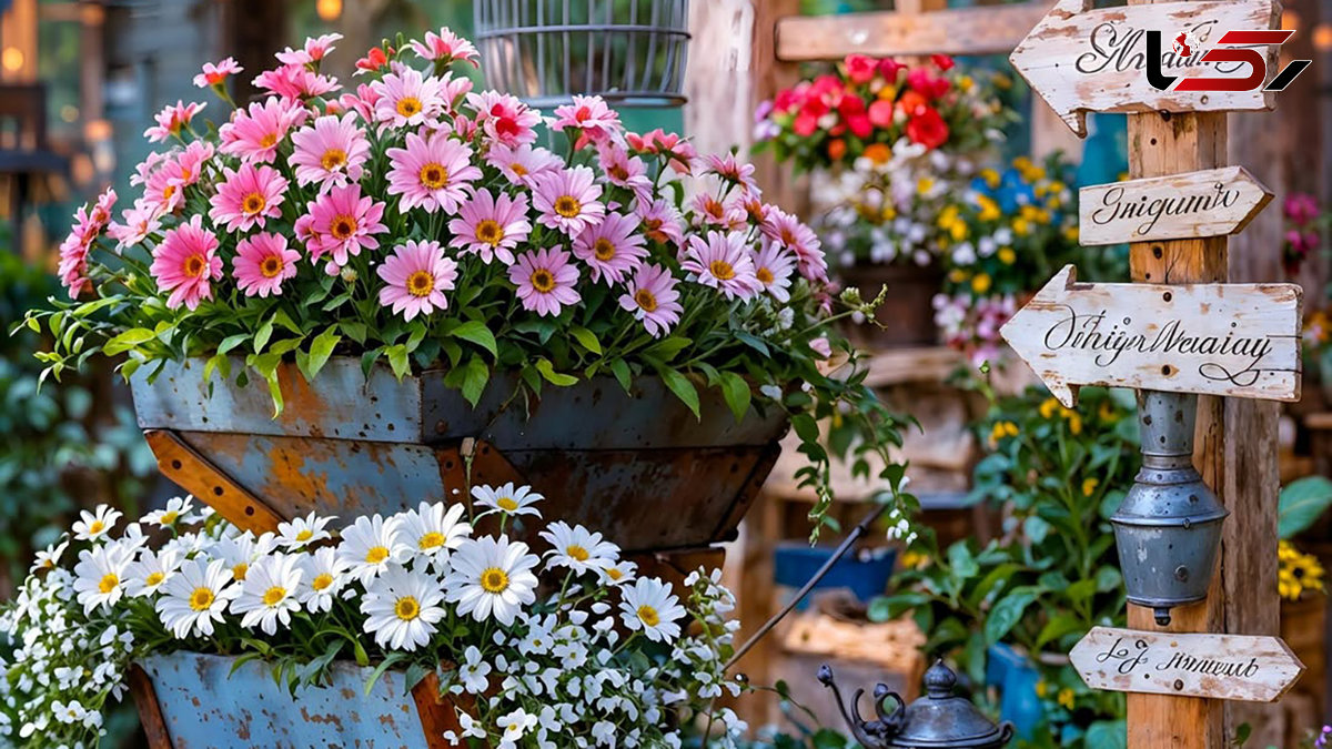 فال و طالع بینی 30 مرداد فال و طالع بینی 30 مرداد