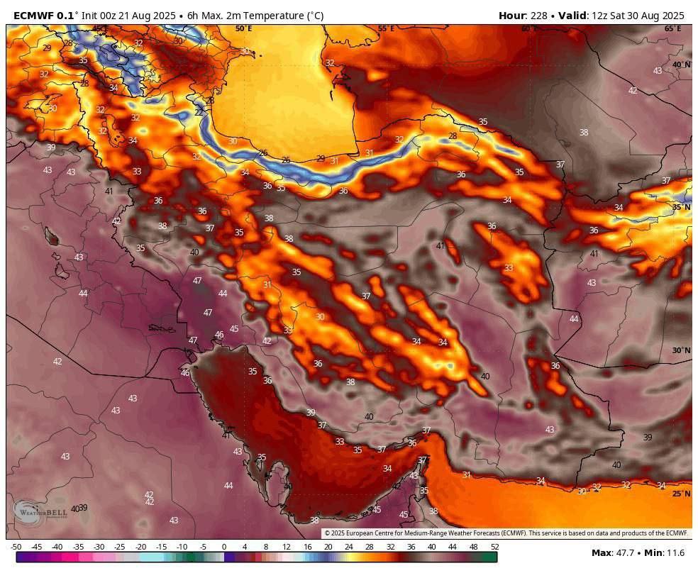 photo_2025-08-21_20-59-38
