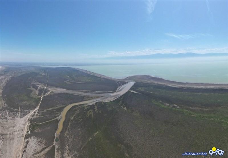 مرگ قطعی خلیج گرگان