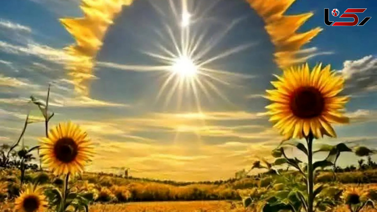 فال و طالع بینی امروز 12 شهریور