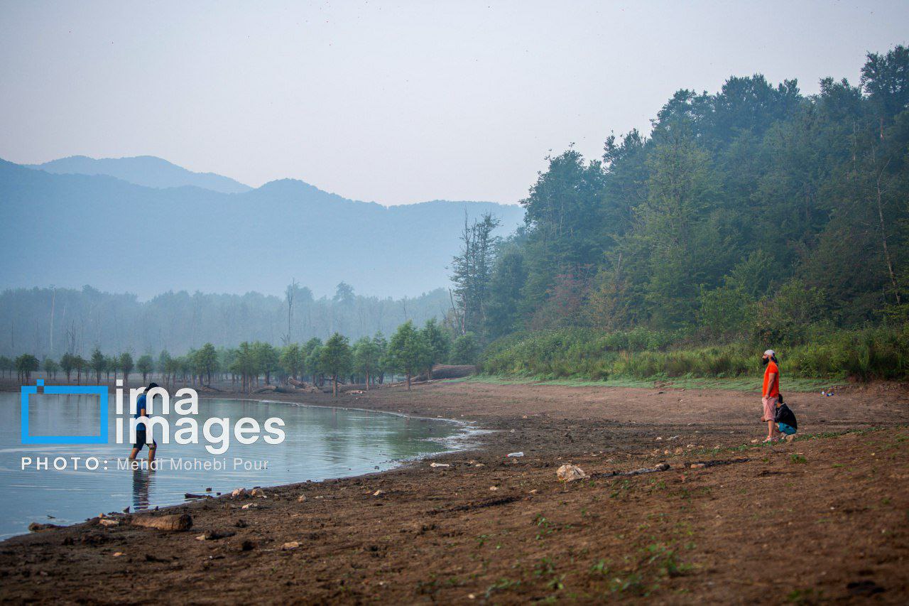 photo_5895373424929393587_y