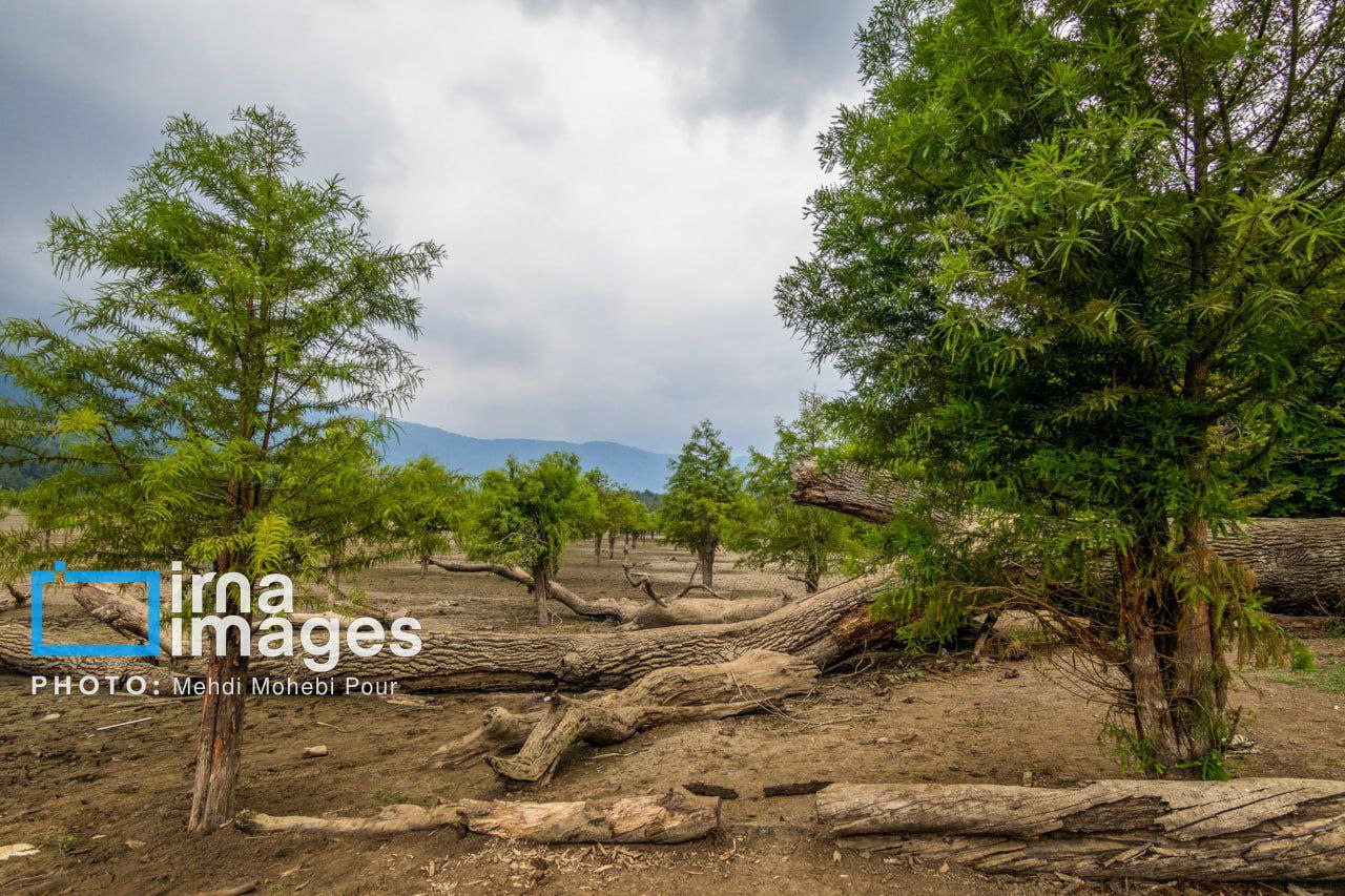 photo_5895373424929393588_y