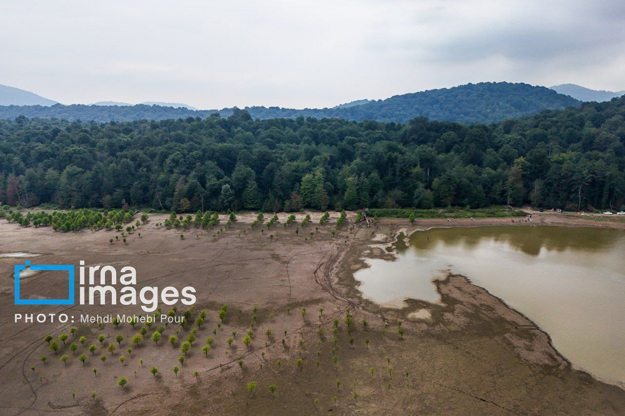 photo_5895373424929393590_y