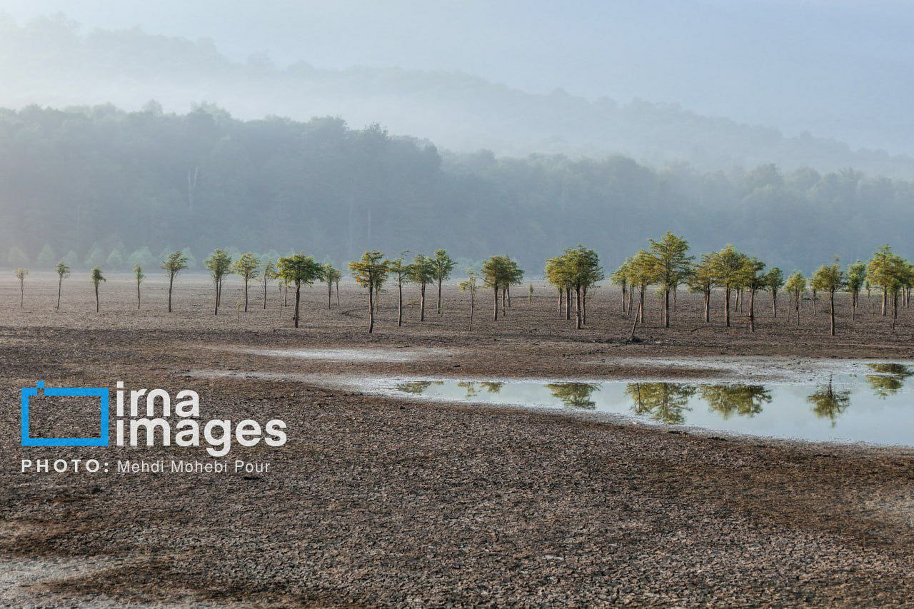 photo_5895373424929393591_y