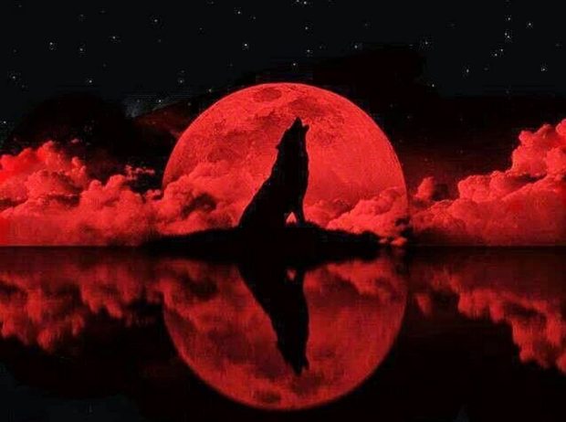 ماه خونین 16 شهریور