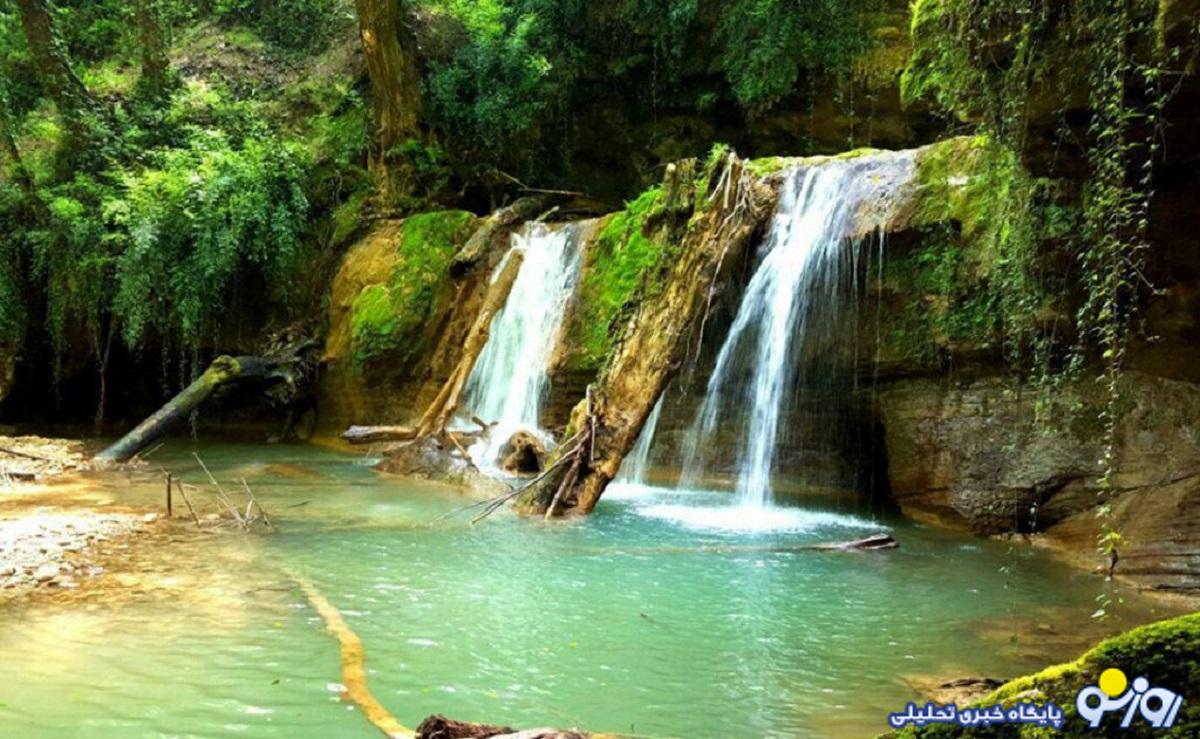 جنگل لفو‌ر؛ میراث سبز هیرکانی و بهشت گردشگری مازندران