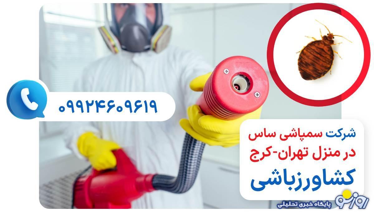 علائم ساس در منزل چیست؟ + قوی ترین سم ساس علائم ساس در منزل چیست؟ + قوی ترین سم ساس