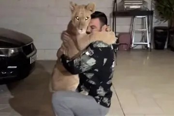 photo_2025-09-11_18-02-30