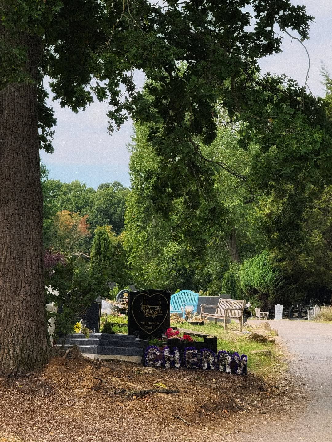 photo_2025-08-26_00-02-53