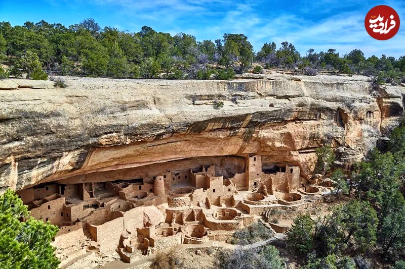 photo_5866199713542424511_y