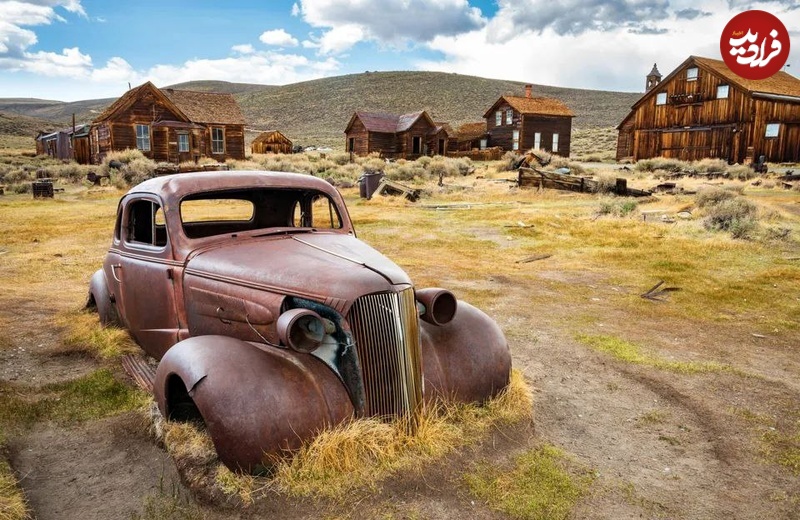 photo_5866199713542424510_y