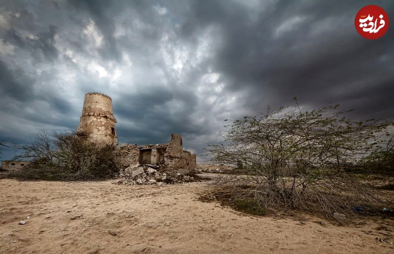 photo_5866199713542424505_y