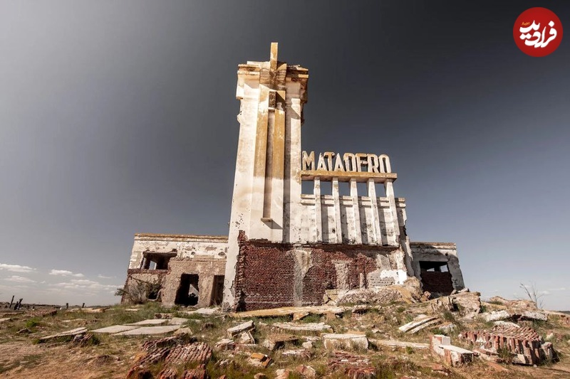 photo_5866199713542424507_y