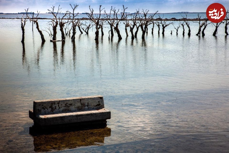 photo_5866199713542424504_y