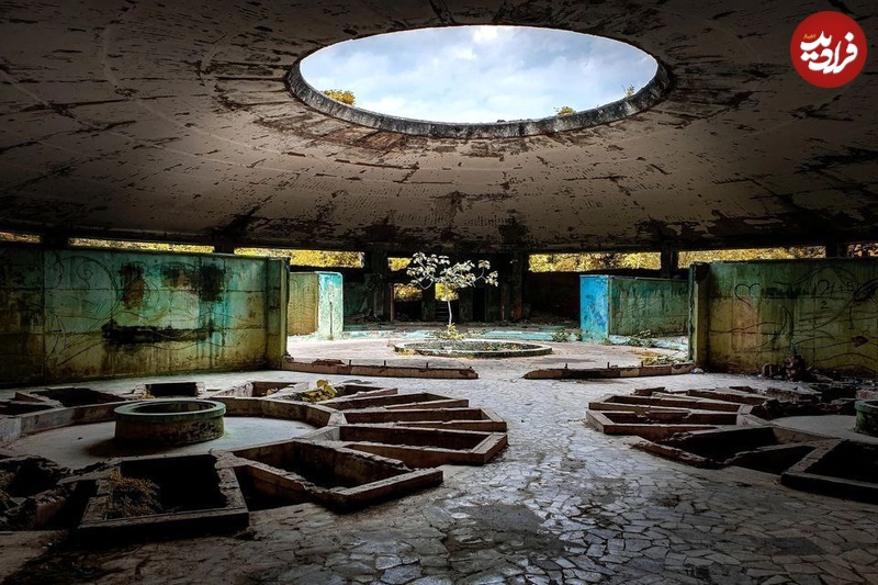 photo_5866199713542424503_y