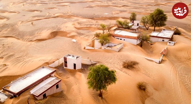 photo_5866199713542424502_y