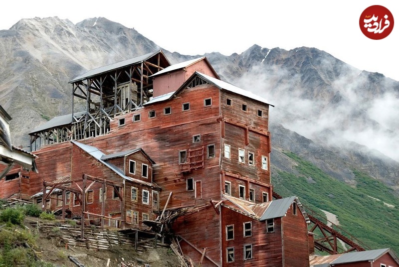 photo_5866199713542424500_y