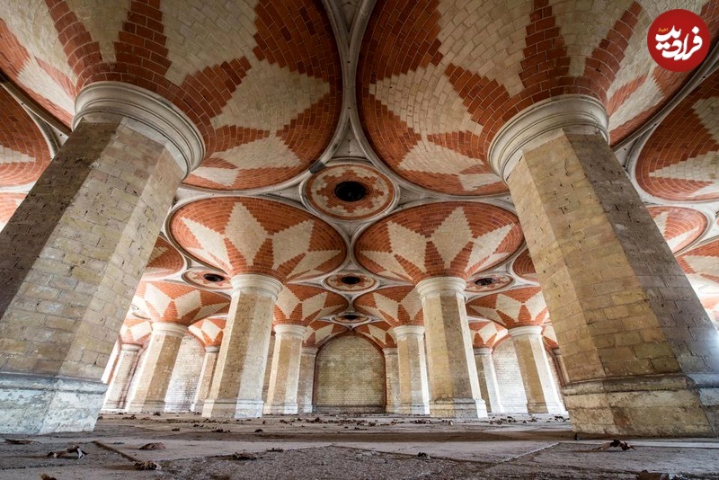 photo_5866199713542424499_y