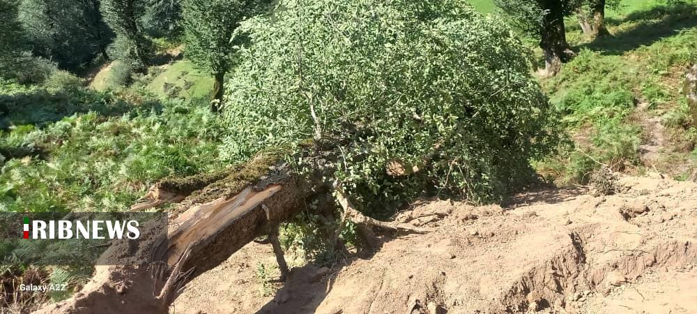 fa1def41-3436-45f2-86f4-47a1679a2ebe