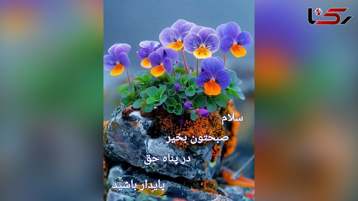 فال و طالع بینی امروز 7 شهریور