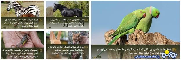 سایت راز بقا؛ اولین مرجع تخصصی حیات‌وحش ایران و جهان