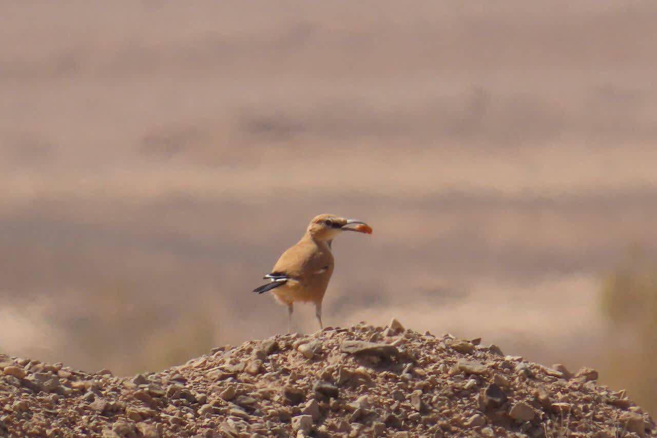 photo_2025-10-02_16-52-06